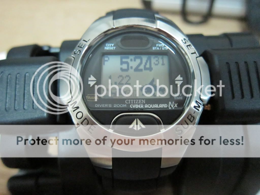 What watches do divers really wear? The Dive Watch Connection